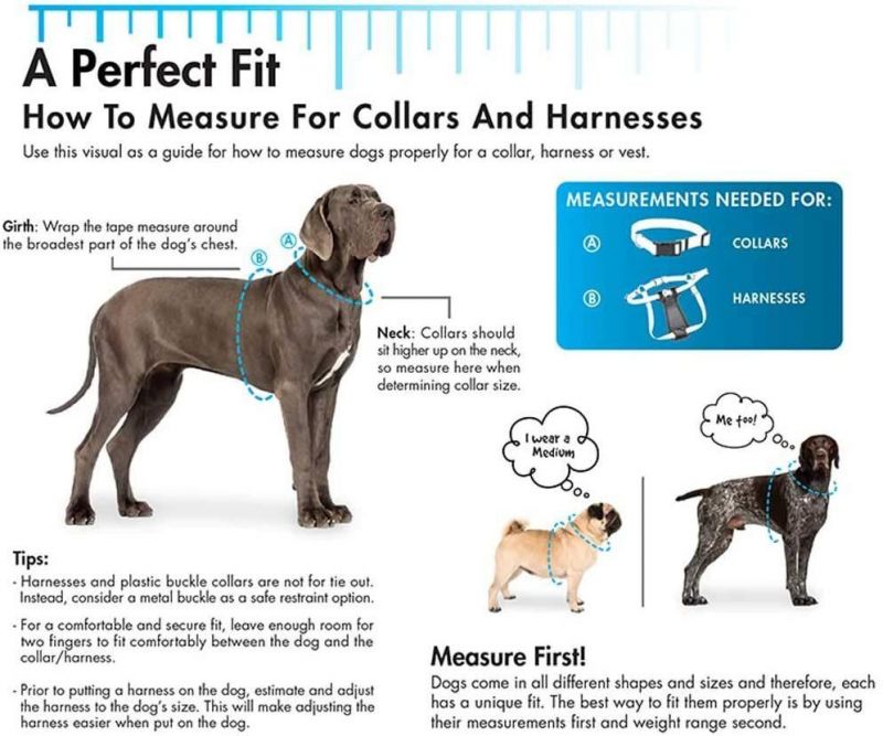 Orange 1-Inch by 22-Inch Waterproof Dog Collar