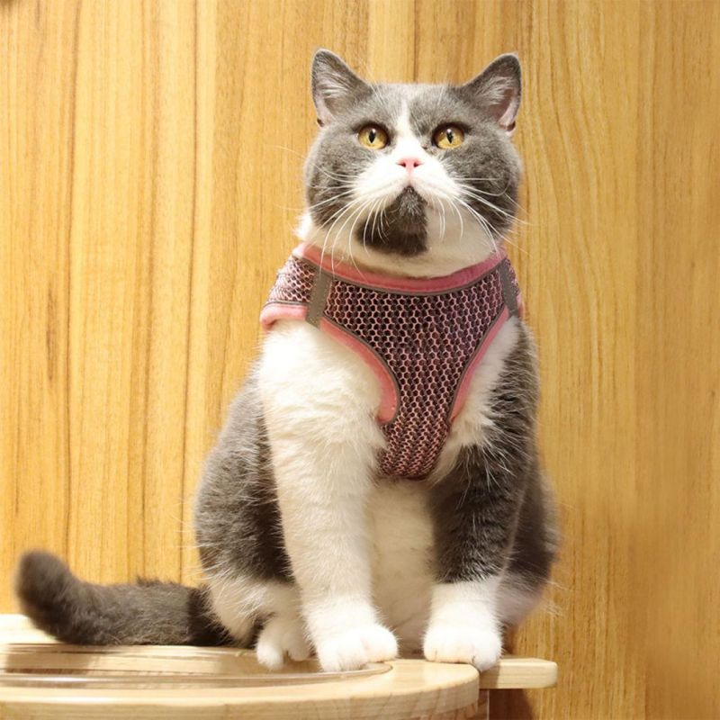 Soft Padded Breathable Dog Harness for Small Medium Dog Cat