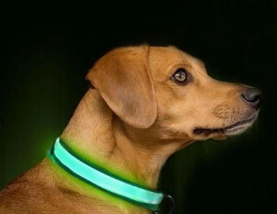 LED Pet Products Dog Cat LED Light Dog Collar