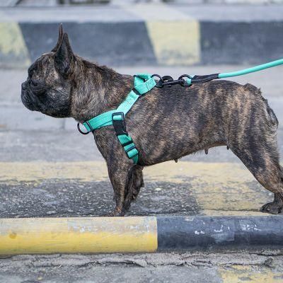 Classic Style Durability Nylon Webbing Pet Dog Harness