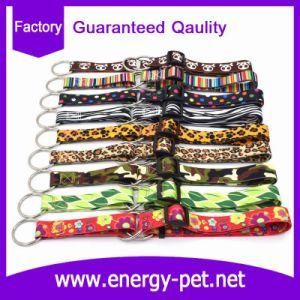 Printing Pet Product of Dog Training Collar