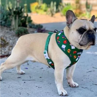 Custom Designer Heavy Duty Luxury Reflective No Pull Soft Pet Harness Vest Cat Pet Dog Harness Leash Dog Harness Set/Popular