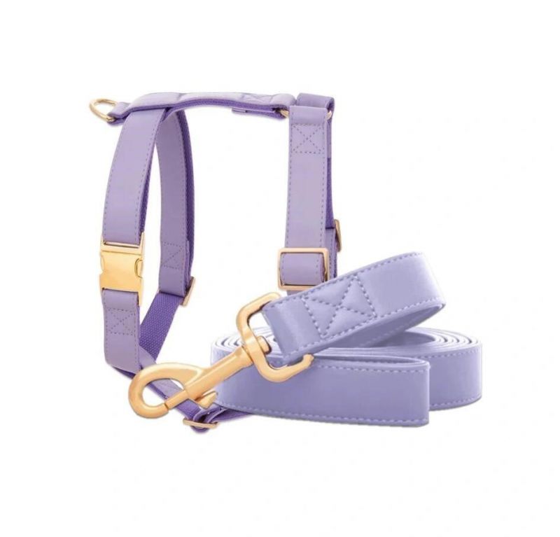 Luxury Faux Leather Dog Collar Leash Harness with Small MOQ
