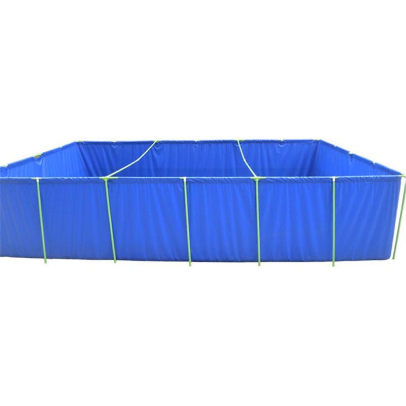Big Blue Foldable Fish Tank