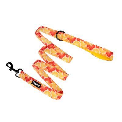 Customized 2cm Products Accessories Dog Harness Matching Product Polyester Pet Custom Pattern Leash