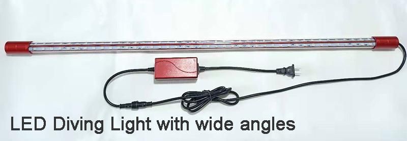 Underwater LED Lights 5 Feet Long for Colorful Marine Fishes