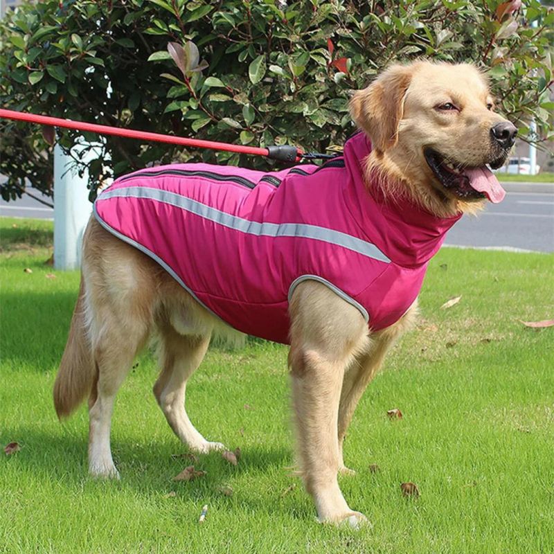 Winter Warm Dog Coat Sport Style Pet Clothes