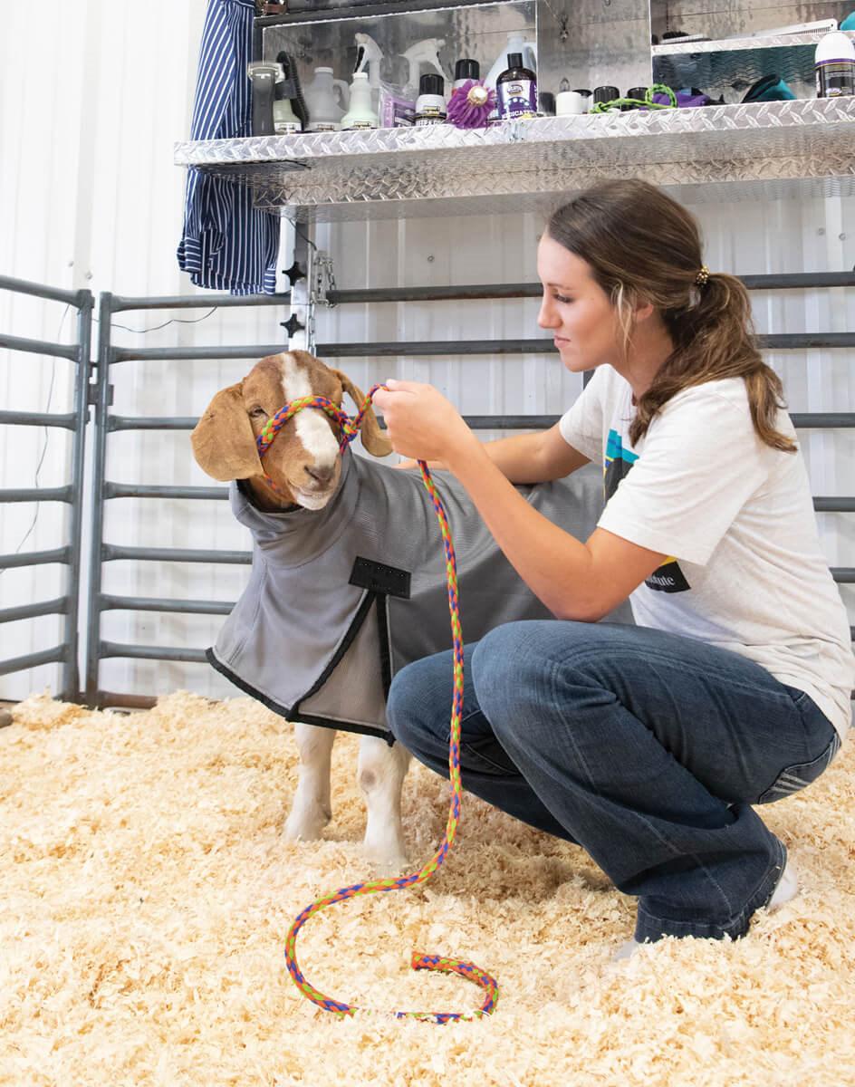 Procool Mesh Goat Blanket