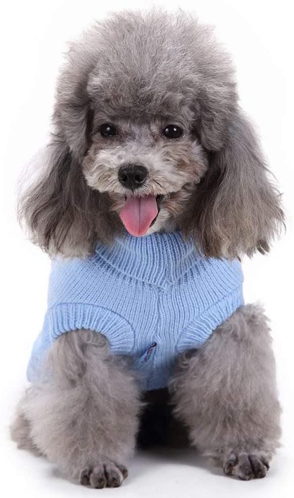 Dog Sweatshirt Clothes Coat Apparel for Small Dog Puppy Kitten Cat