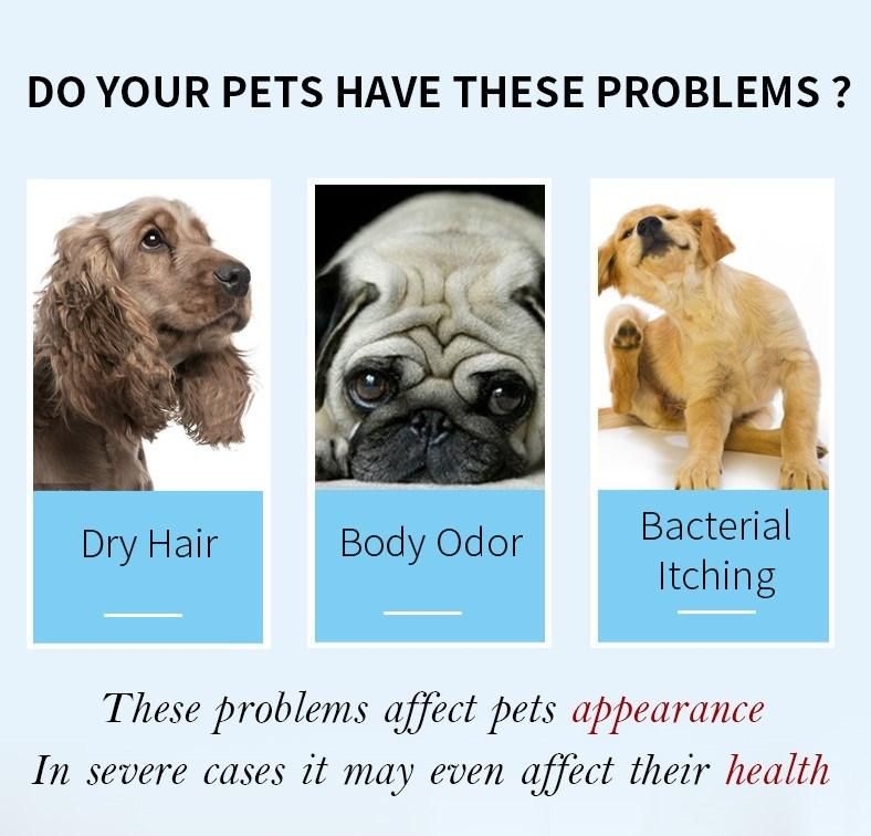 Custom Logo Organic Dog Shampoo Natural Anti Flea Gentle Cleaning Sensitive Pet Shampoo
