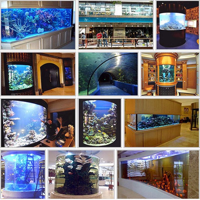 China Acrylic Aquarium for Aquatics, Fish Tanks Aquatics Supplier