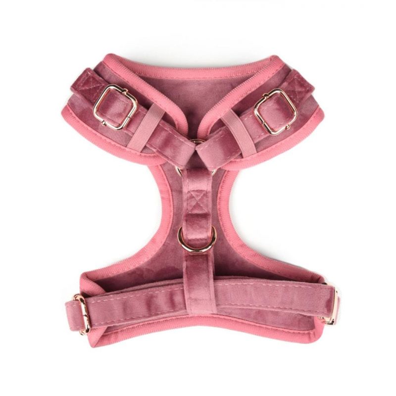 Pet Supplies Custom Velvet Dog Harness and Leash Luxury with Metal Buckle Recycled Cotton Eco Friendly Arnes PARA Perros Vest