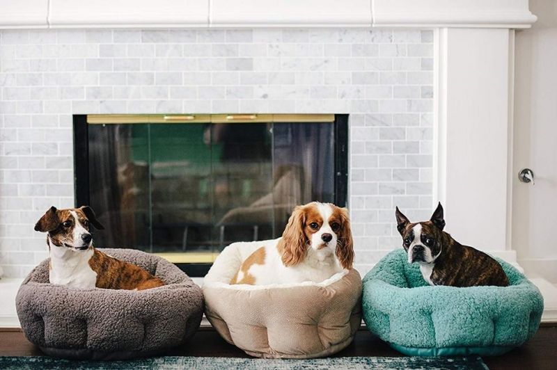 Round Shape Cozy Cat and Dog House Bed High Walls for Extra Support
