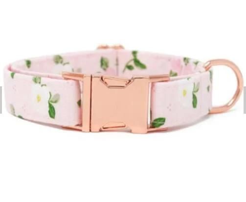 Custom Design Fabric Dog Collar with Logo for Small Medium and Large Dogs