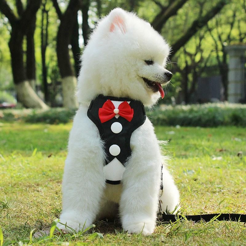 Dog Harness Nylon Breathable Puppy Dog Harness Vest Pet Walking Harnesses