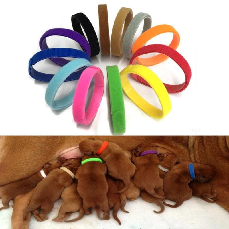 12 Colors Identification ID Collars Band Pet Cat Velvet Practical Puppy ID Collar