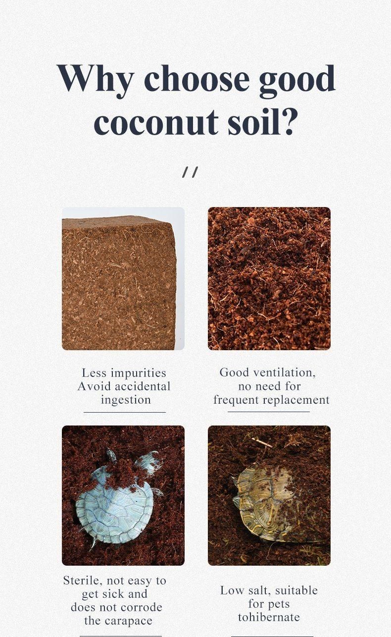 Yee Reptile Hibernation Warm Sand Nature Sand Pet Supplies