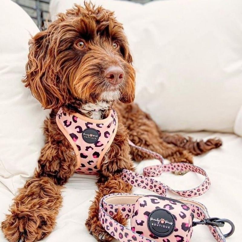 Dog Collar Custom Pattern Luxury Valentine′ S Day Dog Harness Set Ins Hottest Dog Leash OEM ODM Manufacture