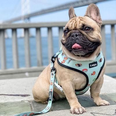 Amazon Hot Selling Breathable Dog Harness Collar Scraft Poop Bag Custom Dog Harness/Best Dog Harness