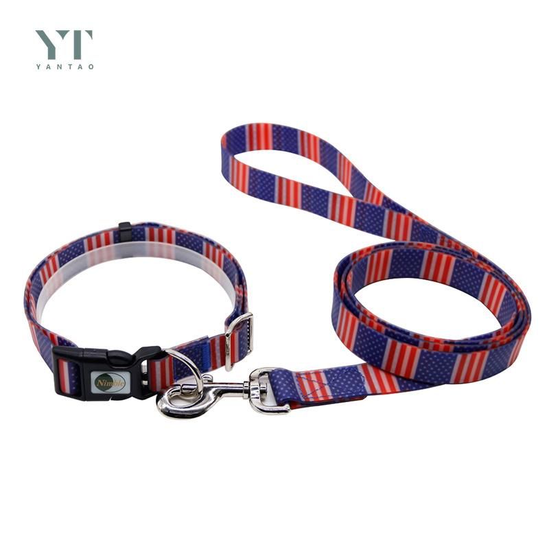 Factory Supplier Custom Pattern Dog Lead Luxury Waterproof TPU Pet Dog Collars for Dog Walking