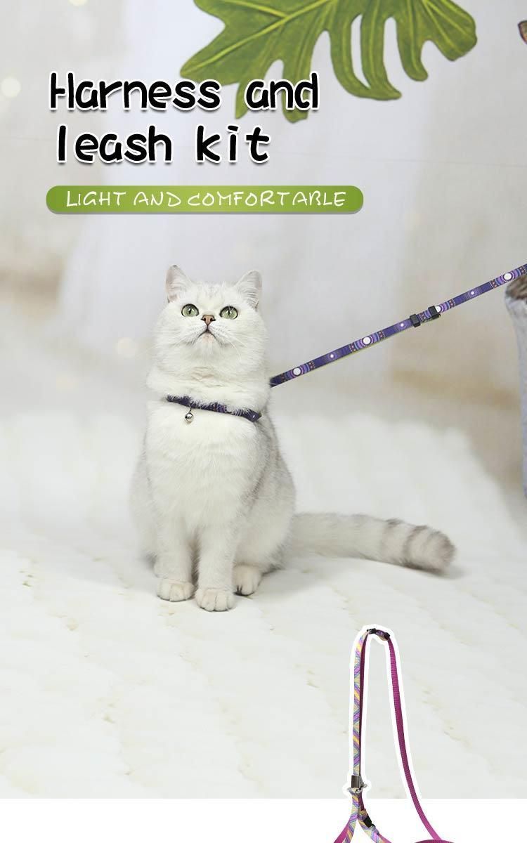 Chinese Factory Durable Snap-Lock Buckless Geometry Pattern Leash Pet