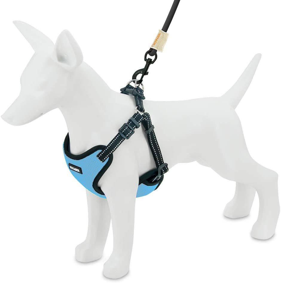 All Weather Mesh, Step in Adjustable Harness