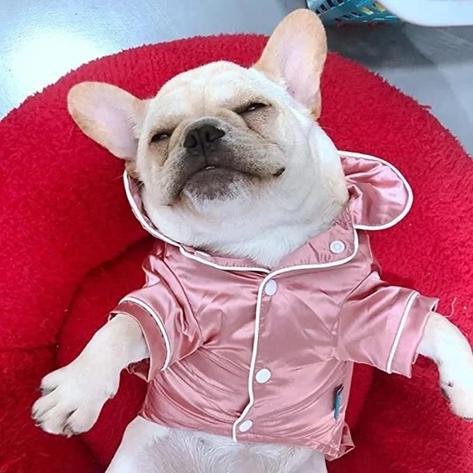 Small Dogs Cats Pajamas Pet Soft Silk Lapel Two-Legged Sleepwear Shirt for All Season