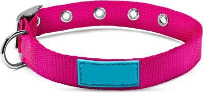 Adjustable / Custom Fit Dog Collar with Metal Buckle