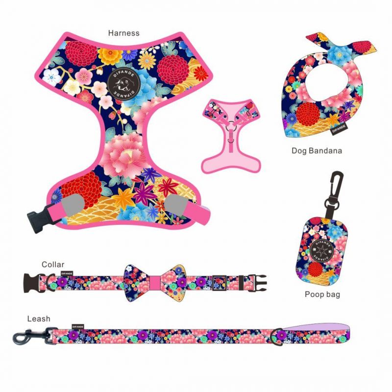 Luxury Accessories for Dogs Cats Nylon Adjustable Buckle Dog Collar and Leash Set