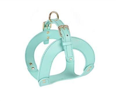 Fast Delivery of Custom Leather Dog Harness with Matching Dog Leash