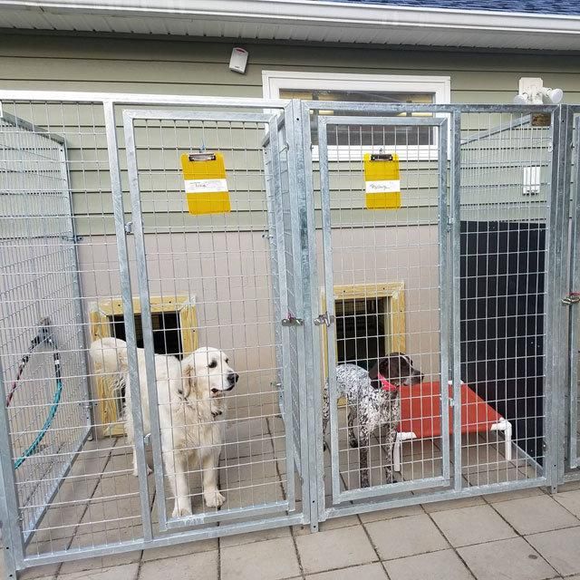 Welded Wire Dog Boarding Kennel Building