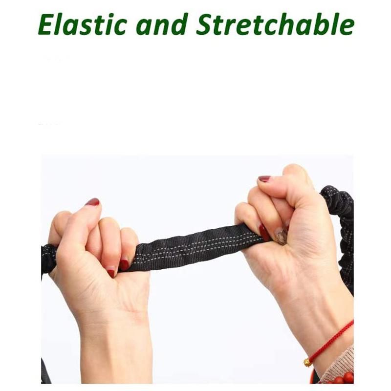 Elastic Pet Leash with Double Handles Dog Leash