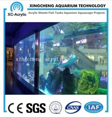 Transparent Acrylic Fish Tank of Marine Aquarium