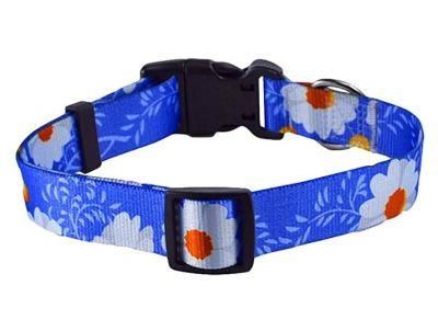 2022 New Released OEM Sublimation Durable Polyester Webbing Pet Collar Matching Leash Set
