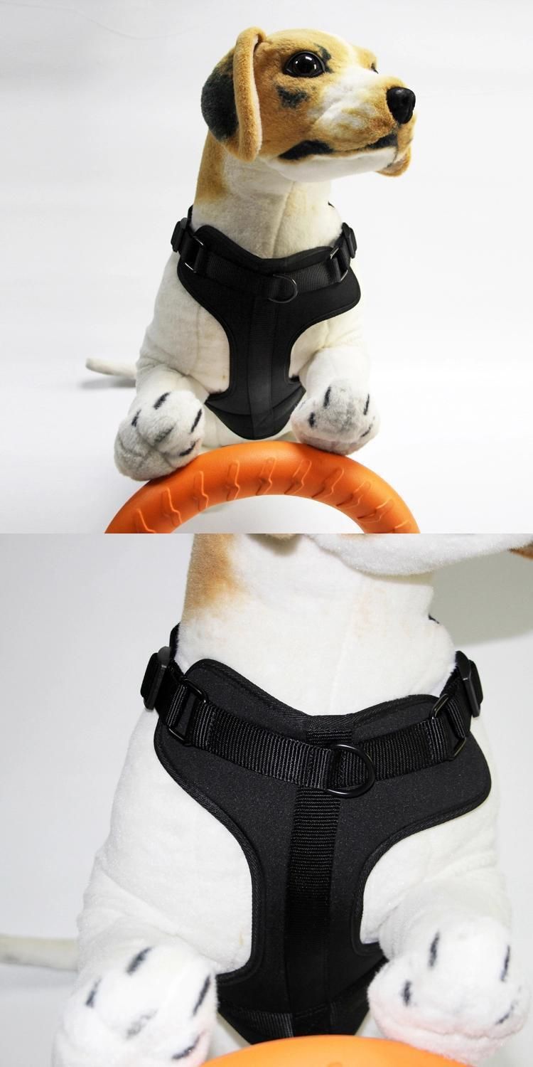 Custom Logo Soft PVC Dog Collar and Leash Harness Set