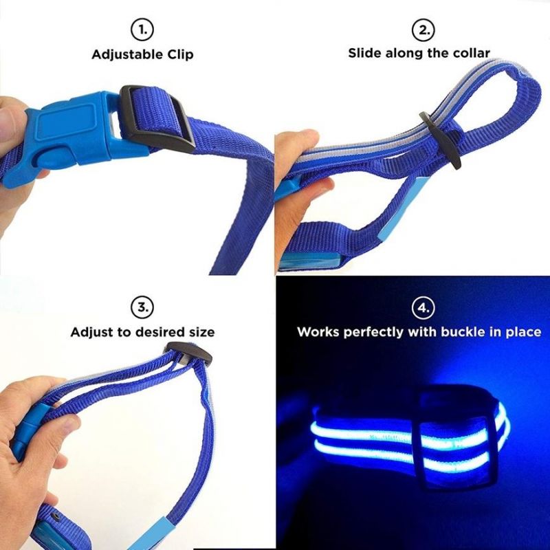 Weatherproof Long Lasting USB Rechargeable Light up Pet Collar
