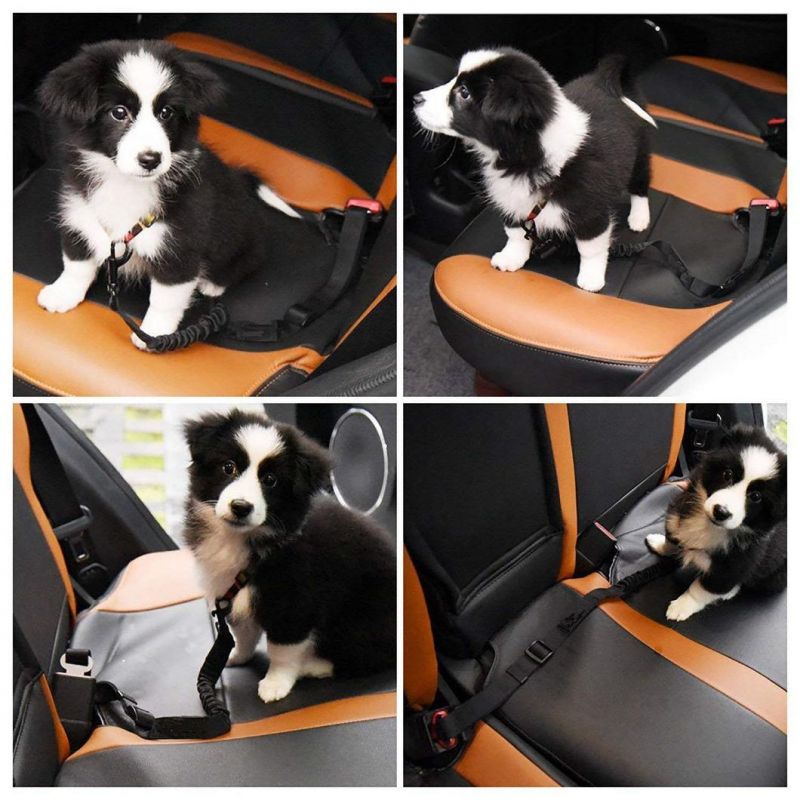 Pet Dog Seat Belt Leash Adjustable Cat Safety Leads Vehicle Car Seatbelt Harness with Elastic Nylon Bungee Buffer