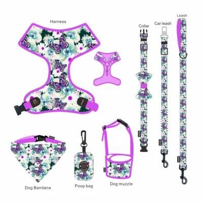 2021 Printed Pet Traction Rope Dog Harness Set Reflective Dog Chest Strap Suit Cat Rope Pet Supplies