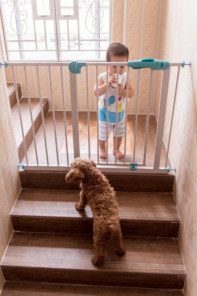 Wall Pressure Mounted Extra High Pet Gate