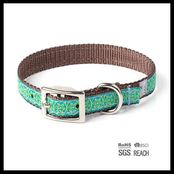High Quality Pink Belt Buckle Dog Collar with Eyelet