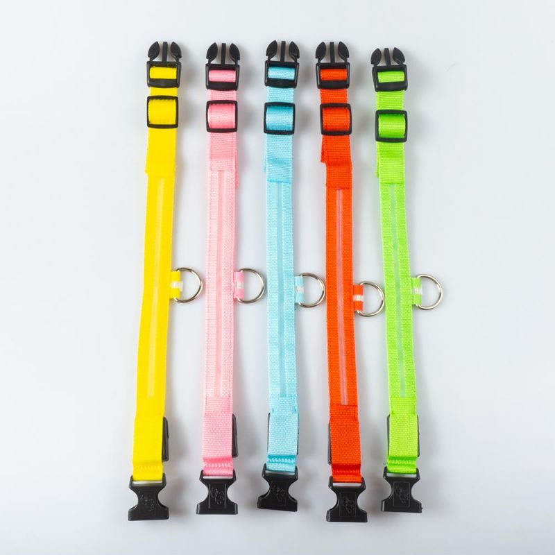 Colourful Supply Professional Cheap Price New Coming LED Pet Collar