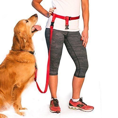 Pets Hands Free Dog Leash Shock Absorbing Extendible Bungee