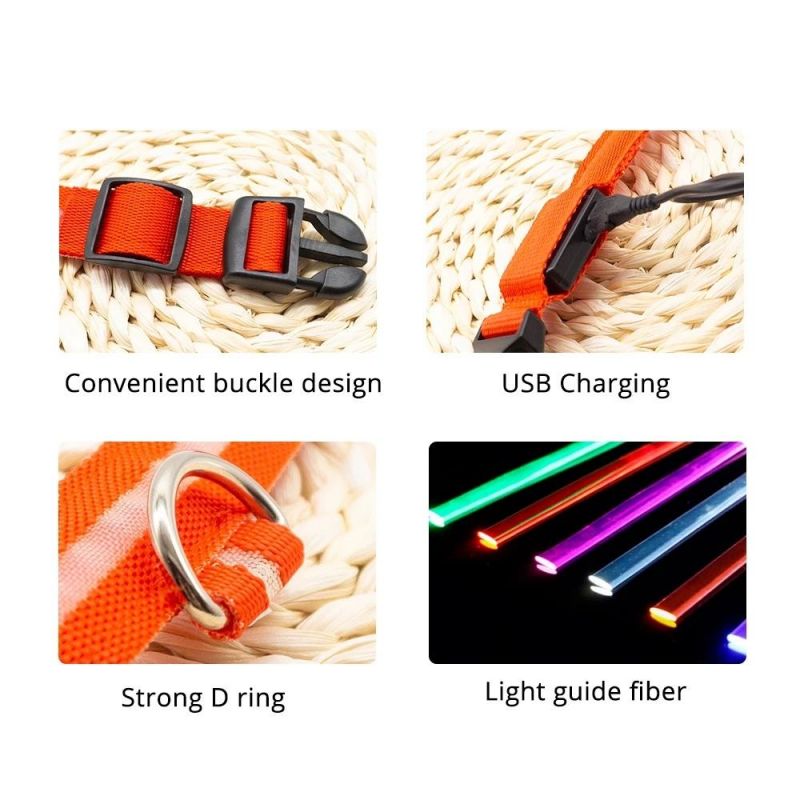 Colourful Supply Lightweight Custom Patch LED Dog Collar