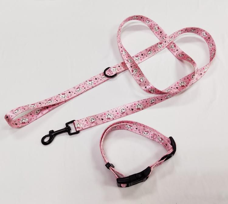 Custom Strong Nylon Martingale Heavy Duty Engraving Braided Climbing Rope Materials for Dog Leash and Collar