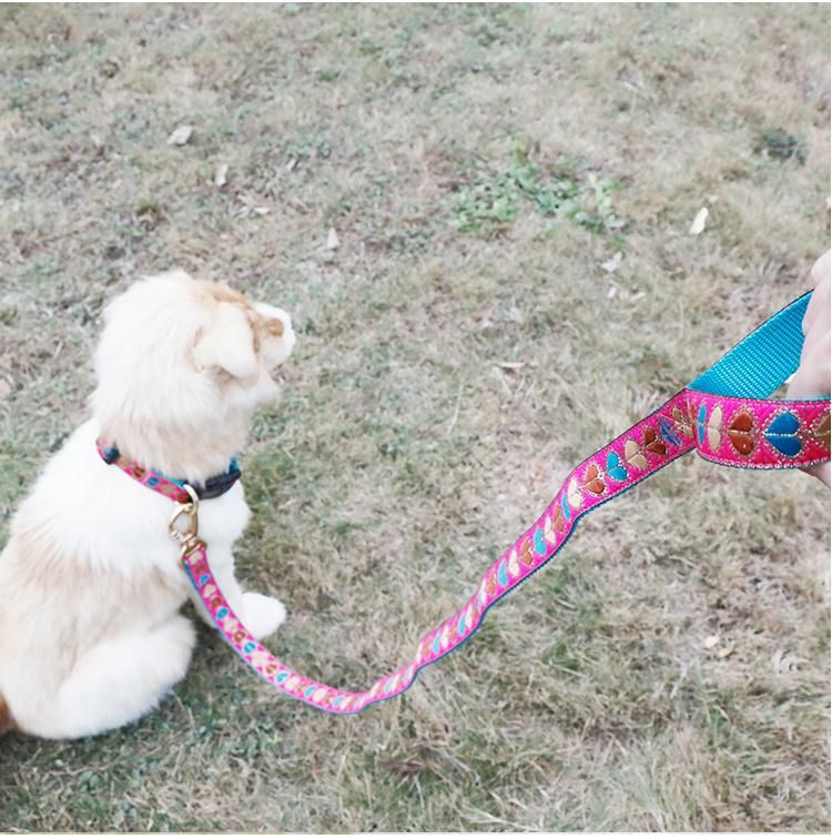 China Manufacturer 2022 Fashion Thick Strong Large Nylon Pet Dog Collars and Leashes Set