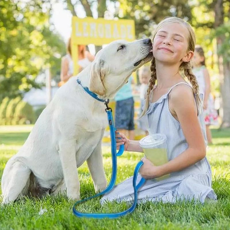 Sells a Reflective and Durable Dog Leash Made of Soft Padded Nylon