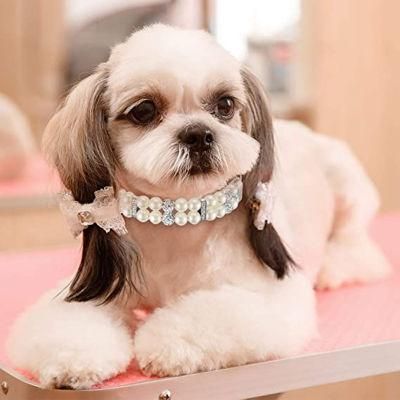 Beautiful Party Dog Collar and Leash Set Manufacture