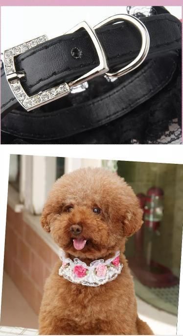 Flower Lace Pearl Designers PU Leather Dog Collar Pink Cat Collar Necklace Pet Accessories Supplies