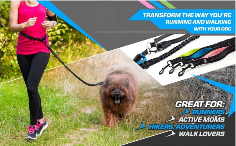 Dog Leash Training 2 in 1 Retractable Dog Leash Walmart