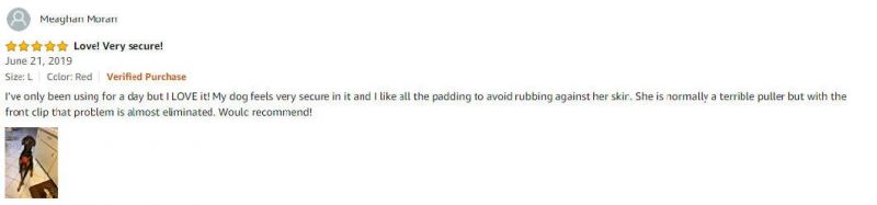Highly Recommend No-Pull & No-Choke Nylon Harness Designed for Dogs Small to Large